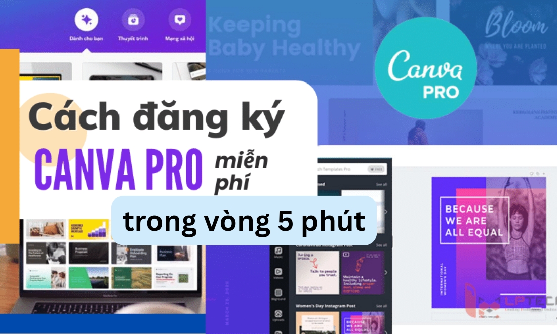 Hướng dẫn tạo tài khoản Canva đơn giản 5 phút