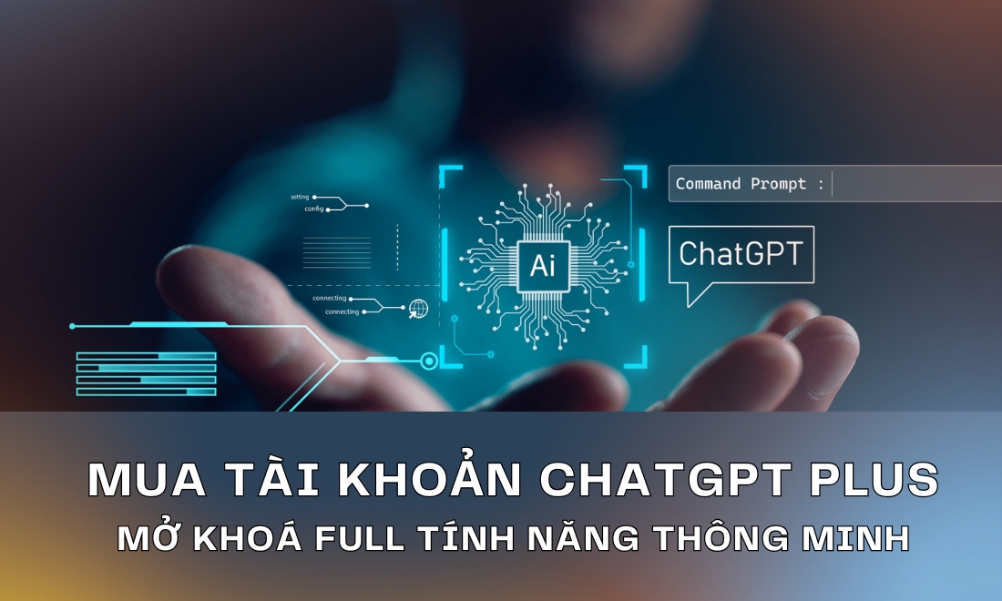 Sở hữu tài khoản Plus để mở khoá đầy đủ tính năng