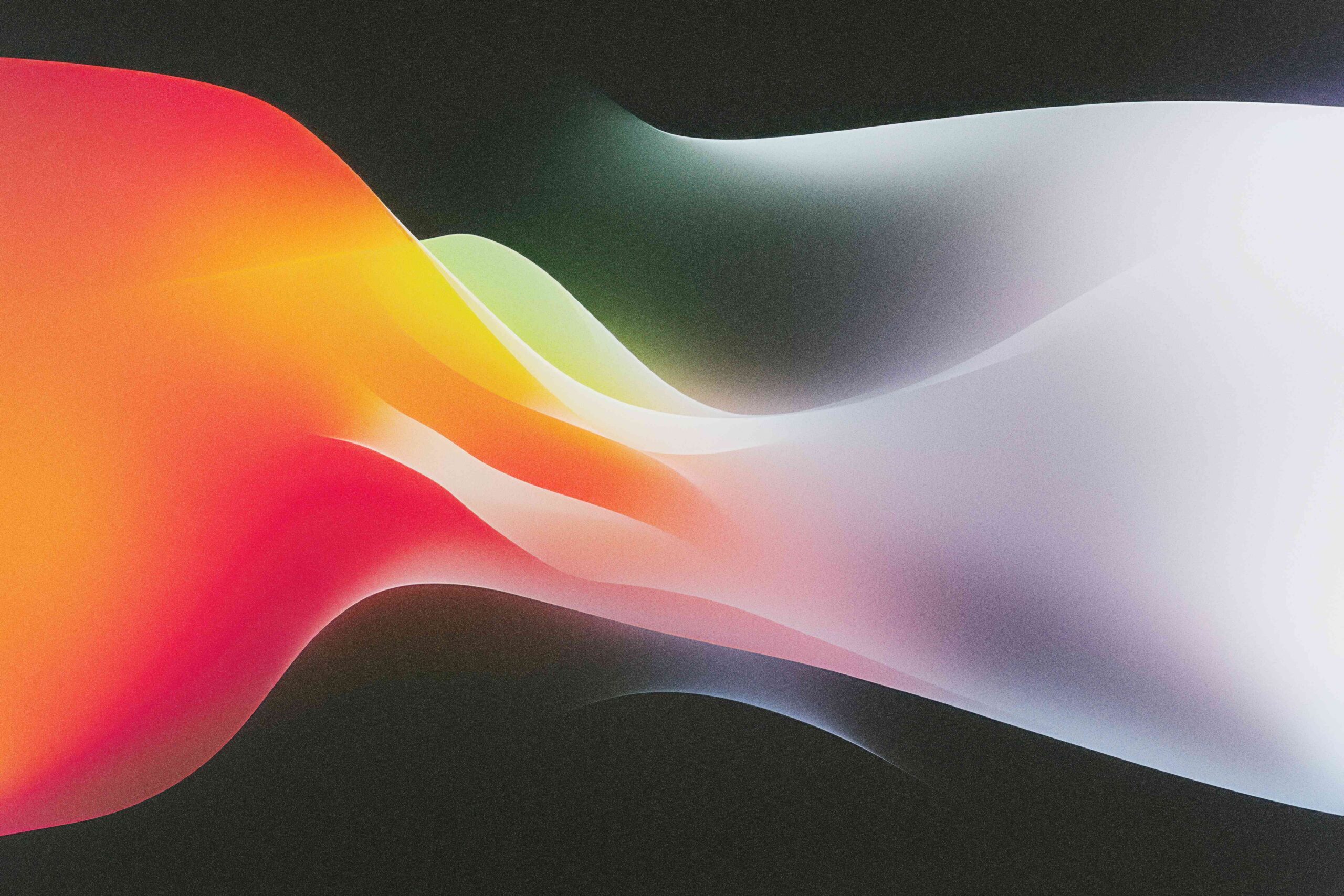 2025.02.06 background 10 11zon scaled 1